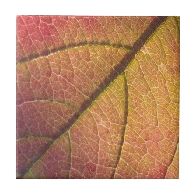 Carreau Feuilles de automne jaunes et rouges (Devant)