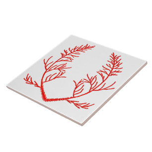 Carreau Feuilles de cèdre sur un carrelage en céramique bl