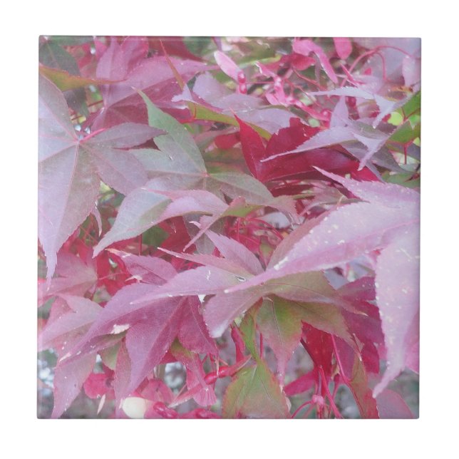 Carreau Feuilles De Chute Rose Et Sage (Devant)