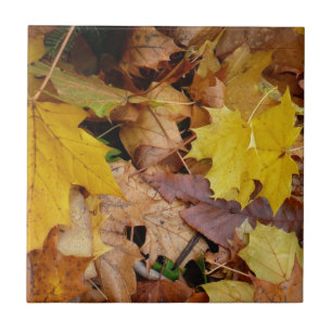 Carreau Feuilles de érable tombées Jaune Automne Nature