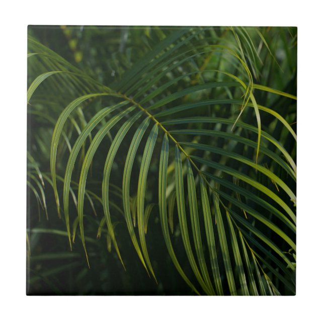 Carreau Feuilles de palmier vert foncé (Devant)