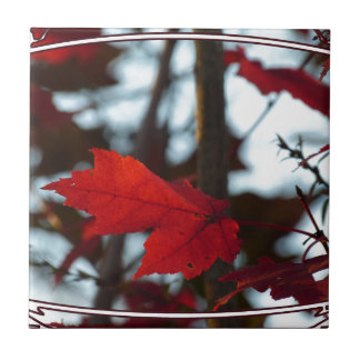 Carreau Feuilles de vacances