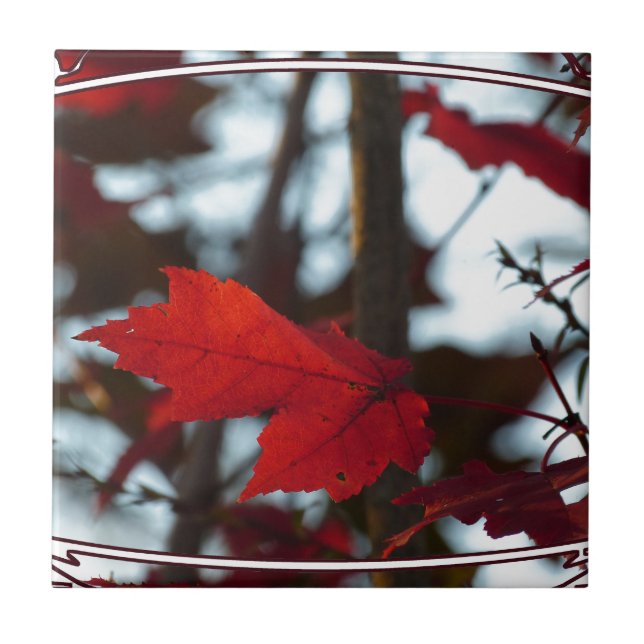 Carreau Feuilles de vacances (Devant)