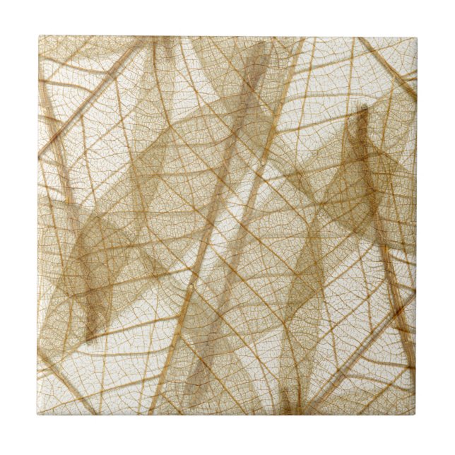 Carreau Feuilles en dentelle beige crème pâle (Devant)
