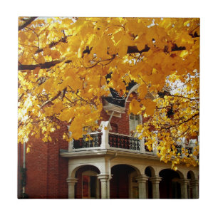 Carreau Feuilles Jaunes d'Automne et Vieille Maison en Bri