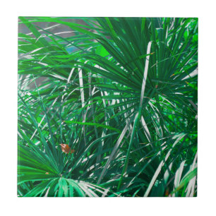 Carreau Feuilles plantes Pastel Green Palm Tree