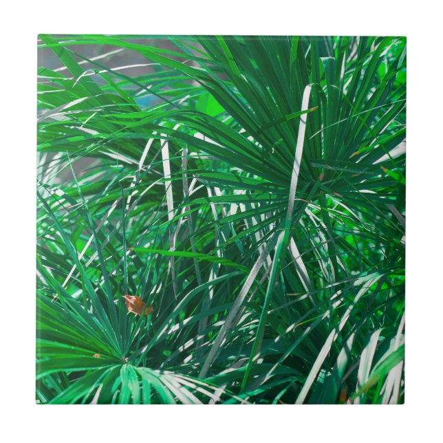 Carreau Feuilles plantes Pastel Green Palm Tree (Devant)