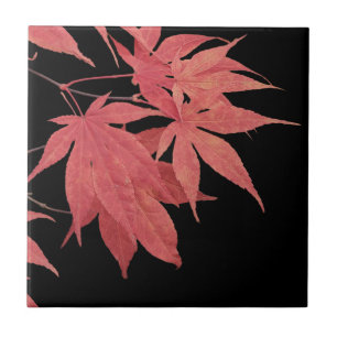 Carreau Feuilles rouges d'érable japonais sur fond noir