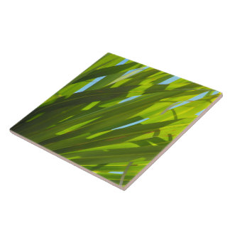 Carreau Feuilles Vertes, Lumière du Soleil et Ciel Bleu
