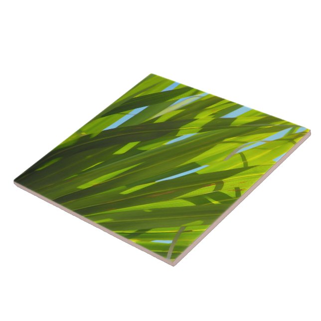 Carreau Feuilles Vertes, Lumière du Soleil et Ciel Bleu (Côté)