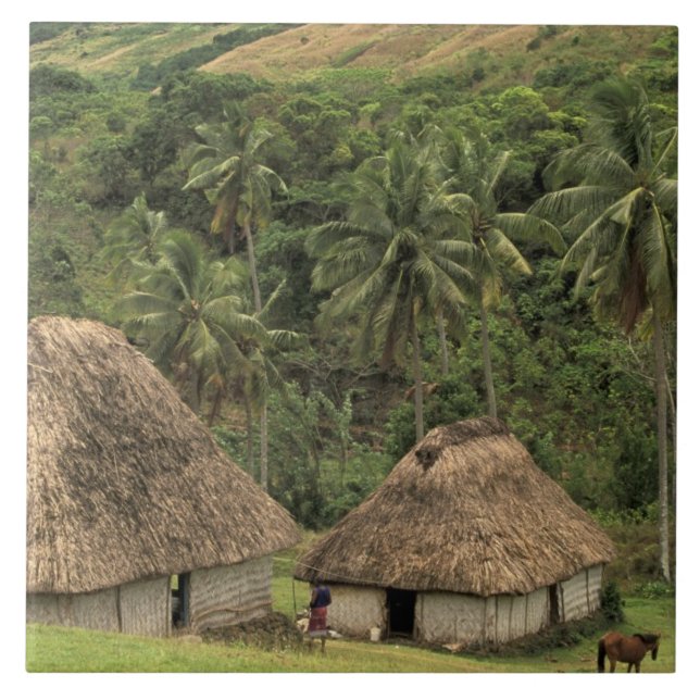 Carreau Fidji, Viti Levu, Navala, maisons traditionnelles  (Devant)