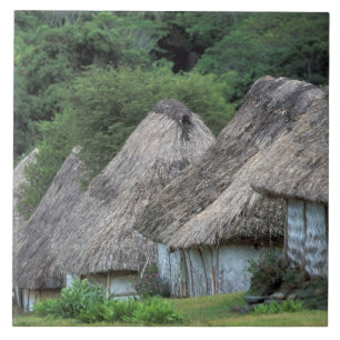 Carreau Fidji, Viti, maisons de huttes traditionnelles.