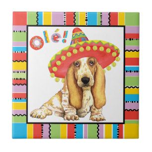 Carreau Fiesta Basset
