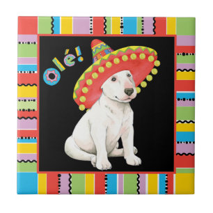 Carreau Fiesta Bull Terrier