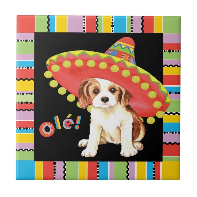 Carreau Fiesta Cavalier (Devant)