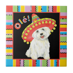 Carreau Fiesta Westie