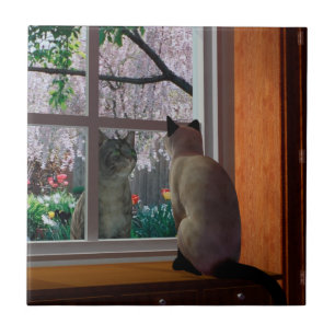 Carreau Fièvre de ressort