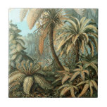 Carreau Filicinae par Ernst Haeckel, Plantes Vintages de l<br><div class="desc">Illustration vintage conception botanique de la nature par Ernst Haeckel avec un design de forêt tropicale humide. Une variété de fougères exotiques dans une jungle. Les fougères sont des plantes vasculaires qui n'ont ni graines ni fleurs, elles se reproduisent par des spores.</div>