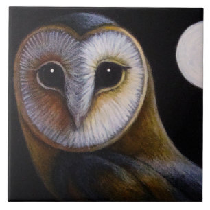 CARREAU FIN DE HIBOU DE GRANGE HAUTE ET TUILE DE PLEINE