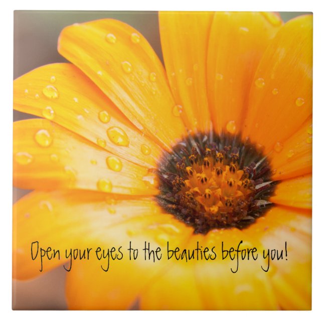 Carreau Fin orange de marguerite africaine d'instantané de (Devant)