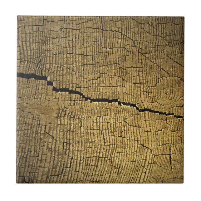 Carreau Fissure (Devant)