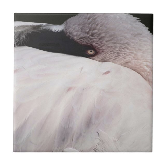 Carreau Flamant rose (Devant)