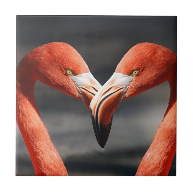 Carreau Flamant rose Valentine (Devant)