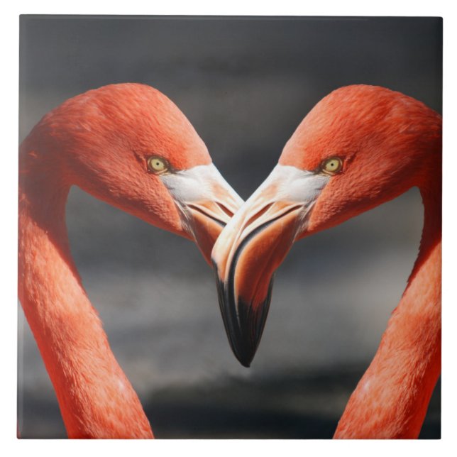 Carreau Flamants roses amoureux (Devant)