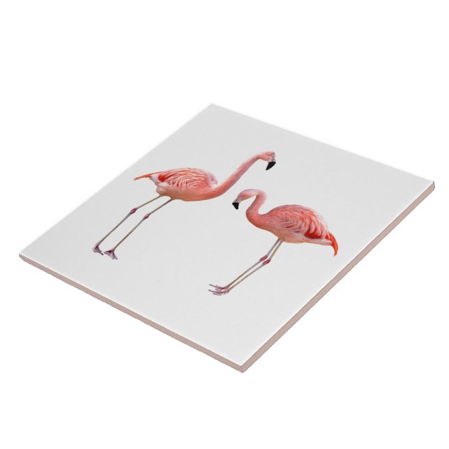 Carreau “flamingo”の優良製品 (Côté)