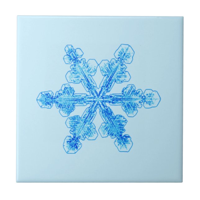 Carreau Flèche de neige Blue Winter (Devant)