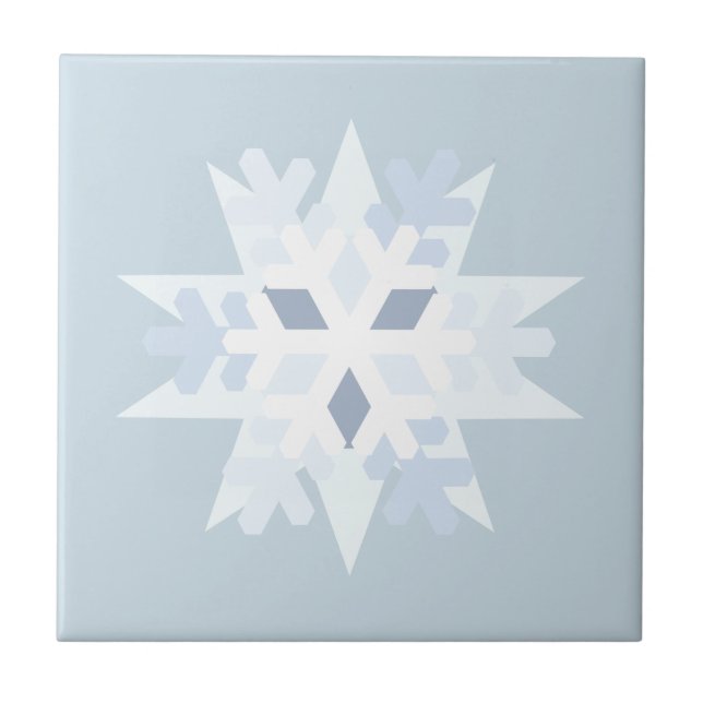 Carreau Flèche de neige en hiver (Devant)