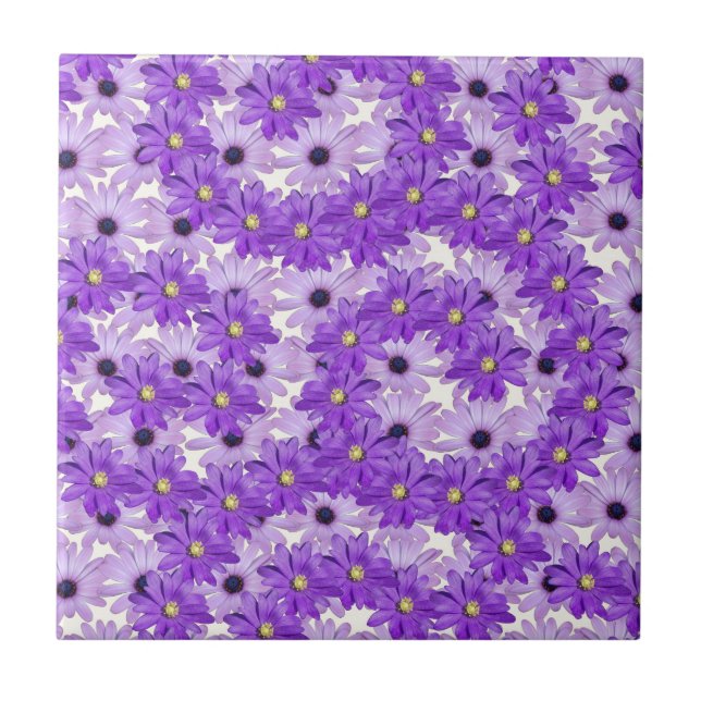 Carreau Flèches de marguerite violet (Devant)