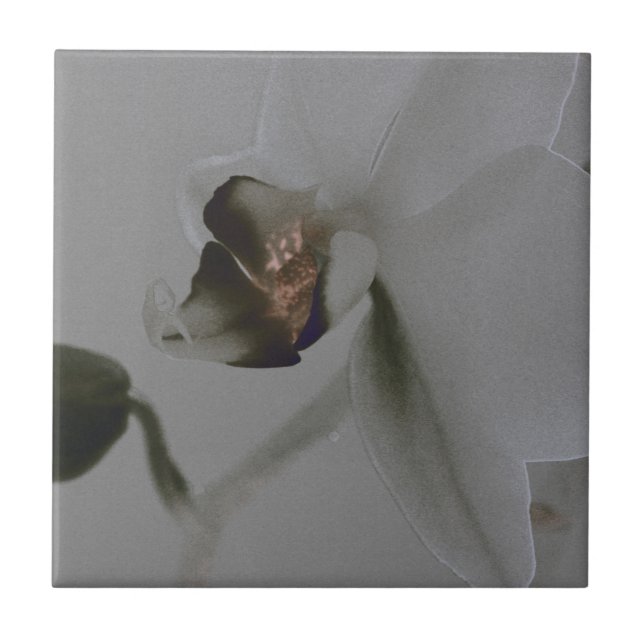 Carreau Fleur artistique dans les tons gris (Devant)