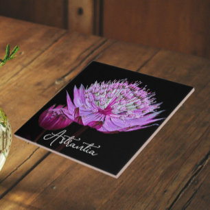 Carreau Fleur Astrantia rose sur floral Arrière - plan noi