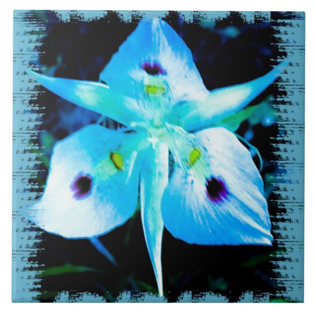 Carreau Fleur bleue (Devant)