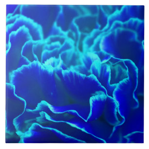 Carreau Fleur bleue et turquoise vibrante d'oeillet