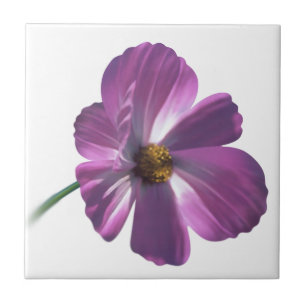 Carreau Fleur Cosmos