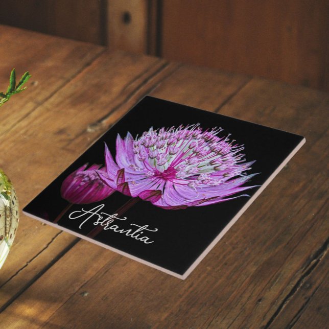 Carreau Fleur d'Astrantia rose sur fond noir floral (In Situ)