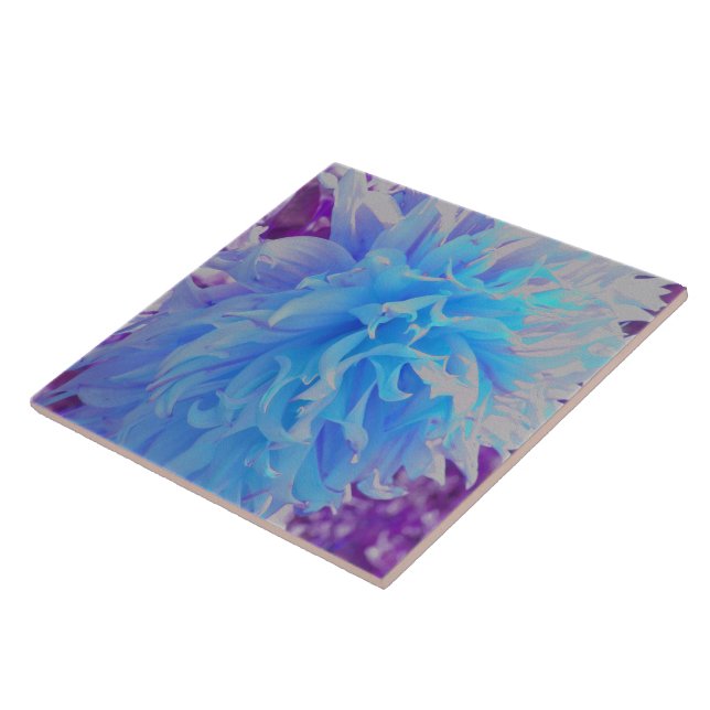 Carreau Fleur de dahlia décorative bleue élégante (Côté)