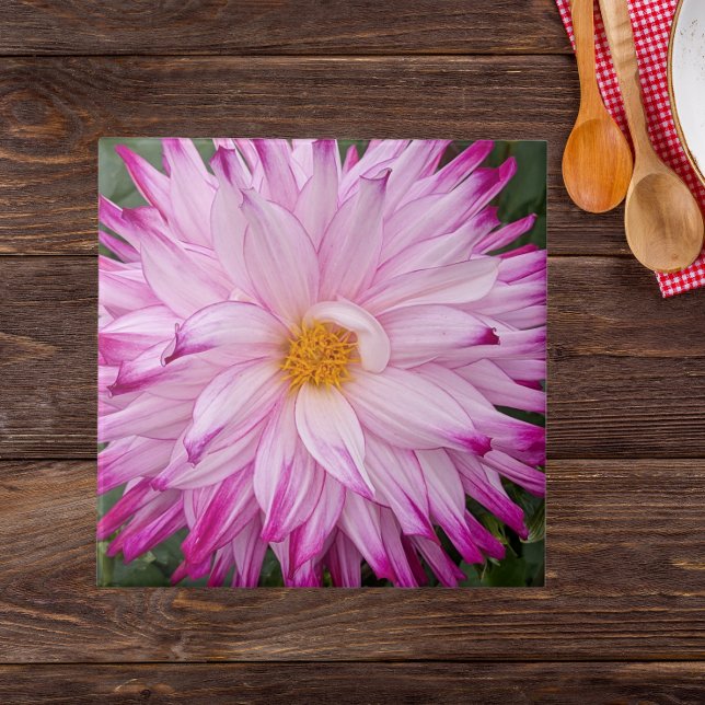 Carreau Fleur de Dahlia rose (In Situ)