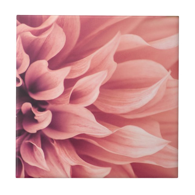 Carreau Fleur de fleur de dahlia (Devant)
