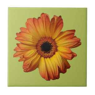 Carreau Fleur de gerbera d'Orange Sunny