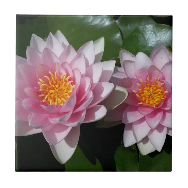 Carreau Fleur de Lotus (Devant)