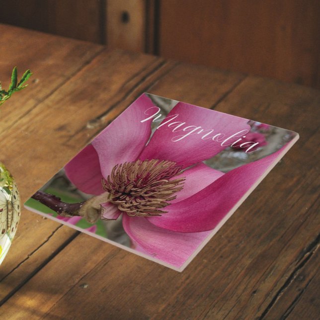 Carreau Fleur de Magnolia à plateau rose (In Situ)
