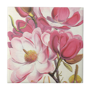 Carreau Fleur de magnolia ancien, fleurs de jardin roses