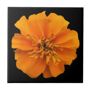 Carreau Fleur de Marigold orange en noir
