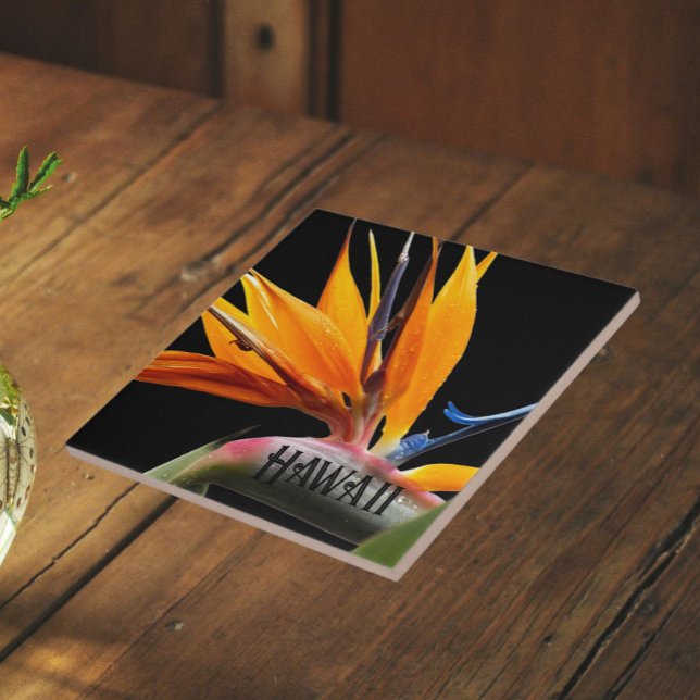 Carreau Fleur de plante oiseau de paradis d'Hawaï (In Situ)