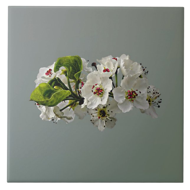 Carreau Fleur de poires blanches (Devant)