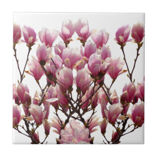 Carreau Fleur de printemps rose florissante Magnolias