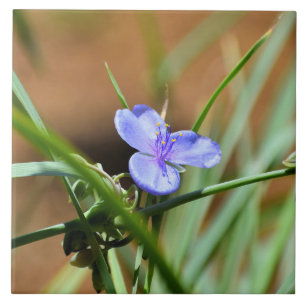 Carreau Fleur de verdure